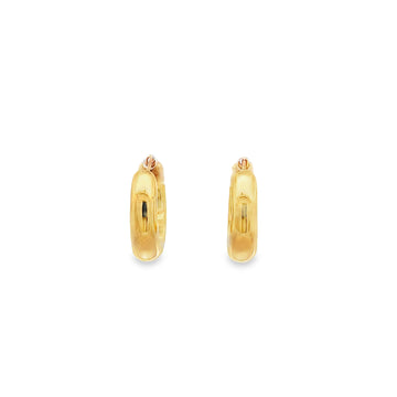 Precious Metal (No Stones) Earring