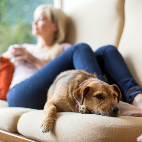 At Home - Nothing better than relaxing after a busy week