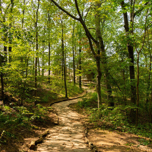 Outdoors - Making time to become one with nature